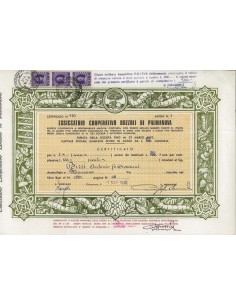 ESSICCATOIO COOP. BOZZOLI DI PALMANOVA - 1 AZIONE 1948