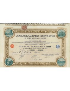 CONSORZIO AGRARIO COOP. LODI MILANO PAVIA - 50 AZIONI LODI 1924