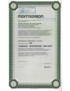 MONTEDISON - 100 WARRANT MILANO 1994