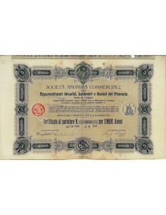 SOC.ANON. APPARECCHI IDRAULICI ...5 AZIONI TORINO 1906