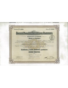 SOC. PAGLIARI ESCURSIONI ALBERGHI 1 AZIONE NAPOLI 1908