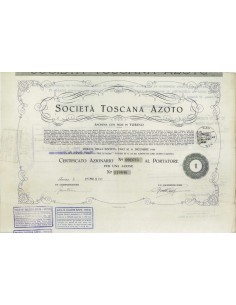 SOC. TOSCANA AZOTO - UNA AZIONE TORINO 1938
