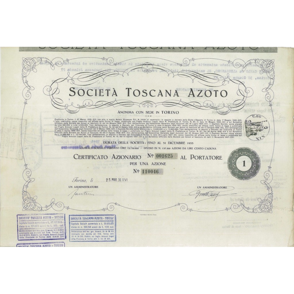 SOC. TOSCANA AZOTO - UNA AZIONE TORINO 1938