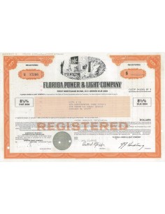 FLORIDA POWER AND LIGHT COMPANY - 100000 DOLLARI - 1987