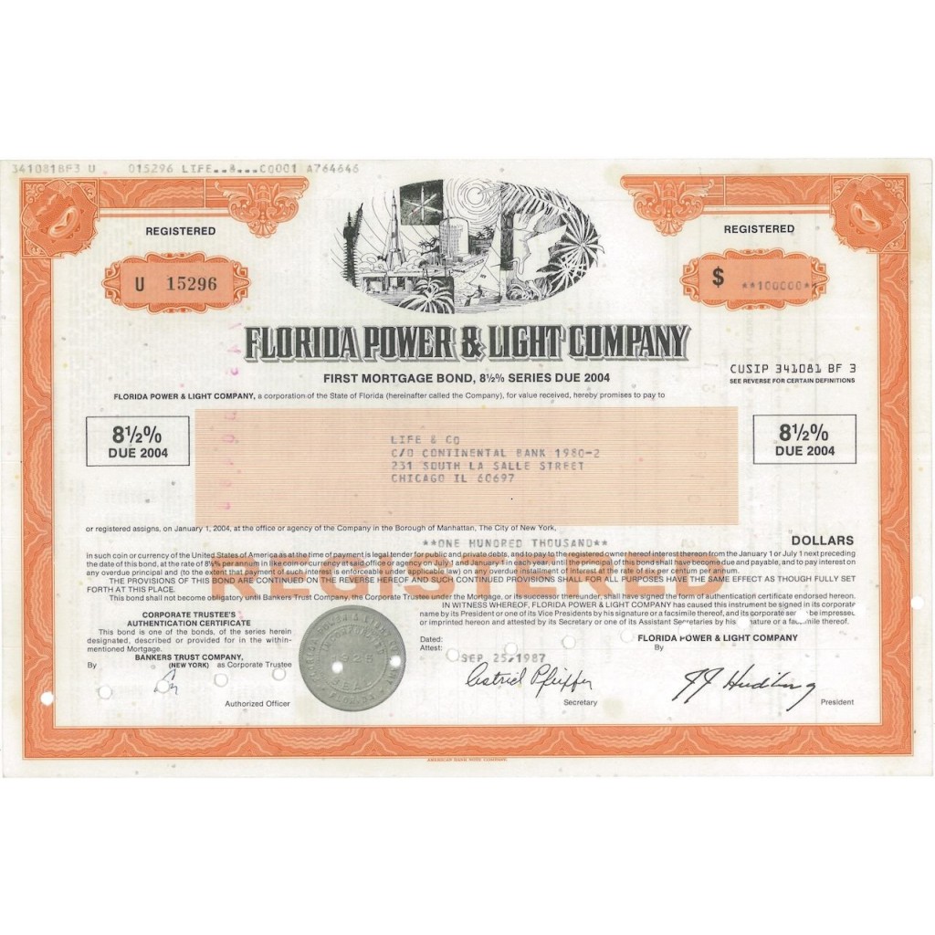 FLORIDA POWER AND LIGHT COMPANY - 100000 DOLLARI - 1987