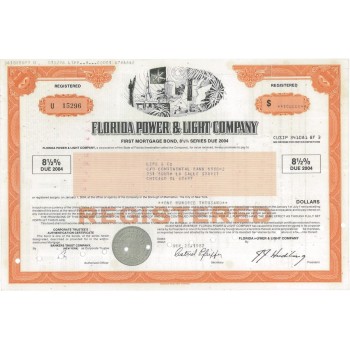 FLORIDA POWER AND LIGHT COMPANY - 100000 DOLLARI - 1987