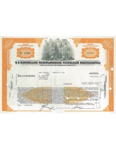 N.V. KONINKLIJKE NEDERLANDSCHE PETROLEUM MAATSCHAPPIJ - 1 AZIONE 1979