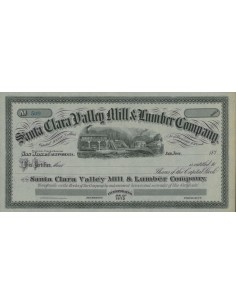 SANTA CLARA VALLEY MILL AND LUMBER COMPANY - AZIONI - 1873