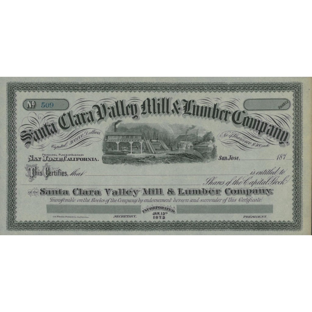 SANTA CLARA VALLEY MILL AND LUMBER COMPANY - AZIONI - 1873