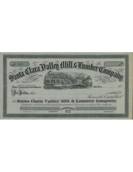 SANTA CLARA VALLEY MILL AND LUMBER COMPANY - AZIONI - 1873