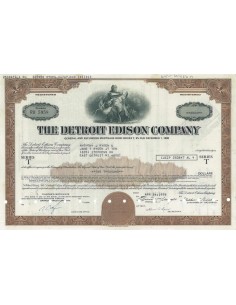 THE DETROIT EDISON COMPANY - 2000 DOLLARI - 1978