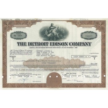 THE DETROIT EDISON COMPANY - 2000 DOLLARI - 1978