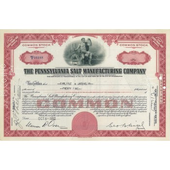 THE PENNSYLVANIA SALT MANUFACTURING COMPANY - 25 AZIONI - 1952