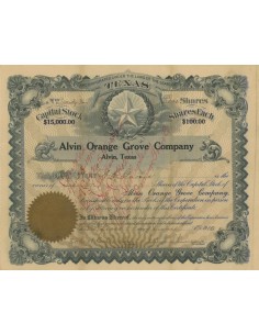 ALVIN ORANGE GROVE COMPANY - 100 AZIONI - 1910