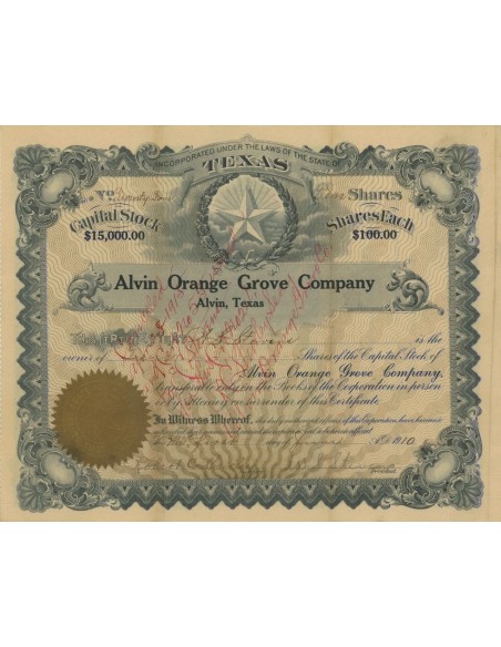 ALVIN ORANGE GROVE COMPANY - 100 AZIONI - 1910