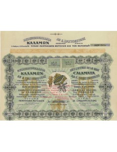 INDUSTRIE DE LA SOIE CALAMATA AR.A. CHRISTOPULOS 50 AZIONI 1931