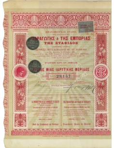 SOC. PRIVILEGIE' POUR LA PRODUCTION ET LE COMMERCE DU RAISIN AZIONE 1905