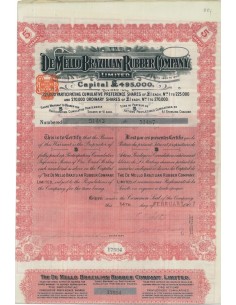 DE MELLO BRAZILIAN RUBBER COMPANY - 5 AZIONI - 1907