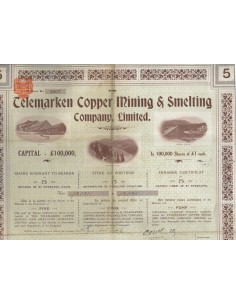 TELEMARKEN COPPER MINING AND SMELTING COMP. LTD 5 AZIONI- 1906