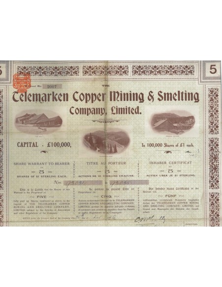 TELEMARKEN COPPER MINING AND SMELTING COMP. LTD 5 AZIONI- 1906