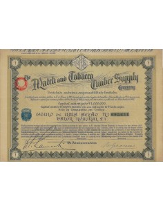 THE MATCH AND TOBACCO TIMBER SUPPLY COMPANY 1 AZIONE 1924