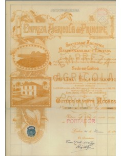 EMPREZA AGRICOLA DO PRINCIPE - 20 AZIONI - 1923