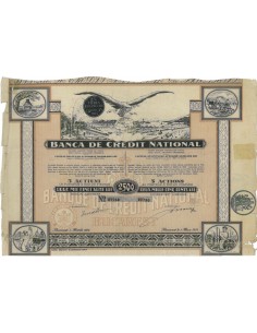 BANCA DE CREDIT NATIONAL - 5 AZIONI - 1924