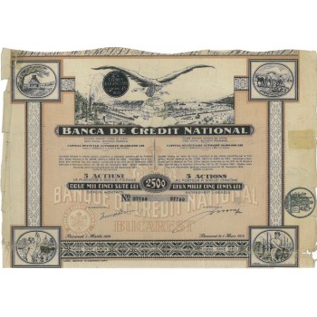 BANCA DE CREDIT NATIONAL - 5 AZIONI - 1924