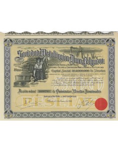 SOCIEDAD METALURGICA DURO-FELGUERA S.A. 1 AZIONE 1962