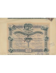 FERRO-CARRILES DE MONTANA A GRANDE PENDIENTES - 1 AZIONE 1891