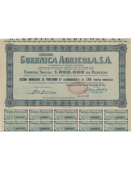 GUERNICA AGRICOLA S.A. - 1 AZIONE - 1954