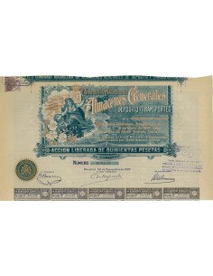 COMP. MADRILENA DE ALMACENES GENARELES - 1 AZIONE 1906