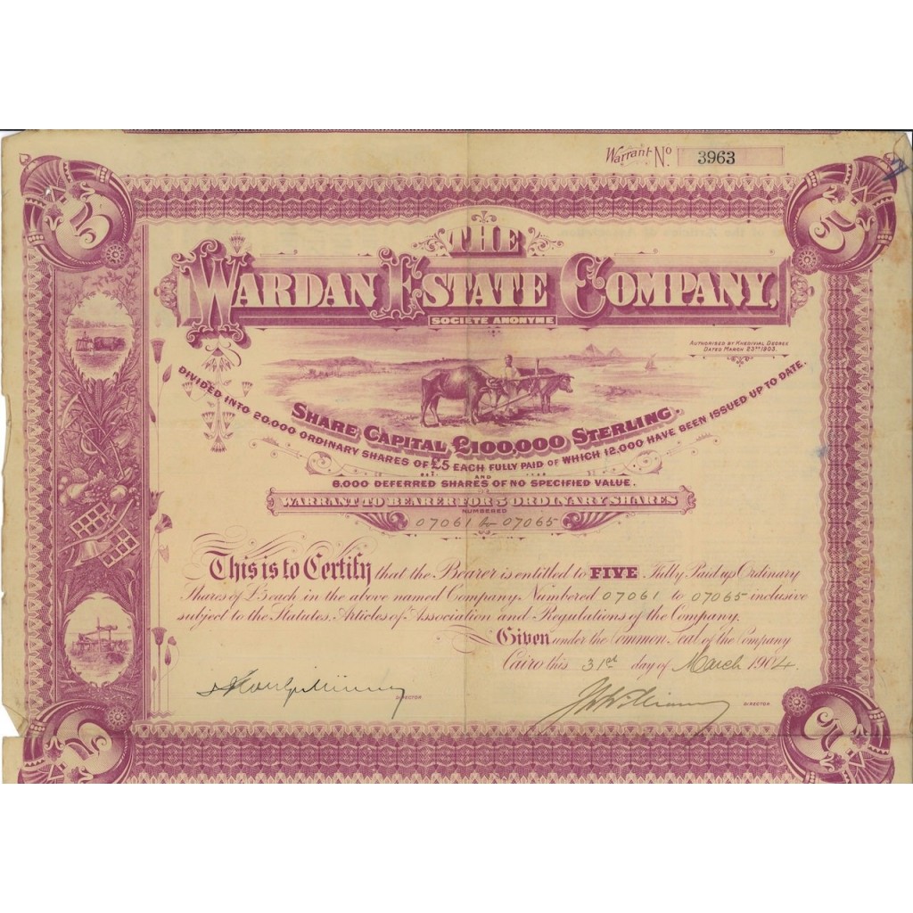 THE WARDAN ESTATE COMPANY - 5 AZIONI - 1904