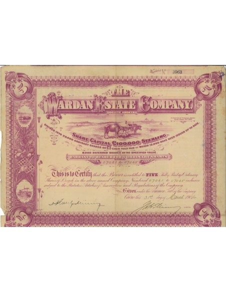 THE WARDAN ESTATE COMPANY - 5 AZIONI - 1904