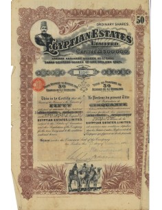 EGYPTIAN ESTATES - 50 AZIONI 1906