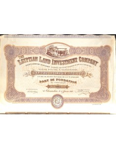 THE EGYPTIAN LAND INVESTMENT COMPANY 1 AZIONE 1905