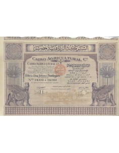 CAIRO AGRICOLTURAL C. 5 AZIONI PRIVILEGIATE 1928