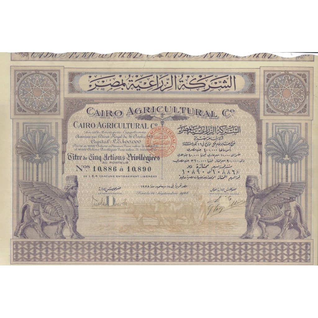 CAIRO AGRICOLTURAL C. 5 AZIONI PRIVILEGIATE 1928
