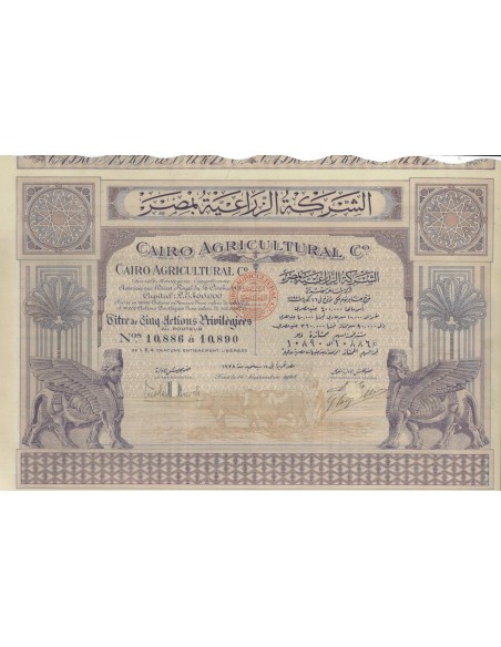 CAIRO AGRICOLTURAL C. 5 AZIONI PRIVILEGIATE 1928