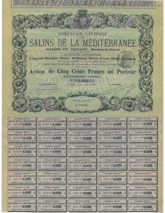 SALINS DE LA MEDITERRANEE - 1 AZIONE - 1879