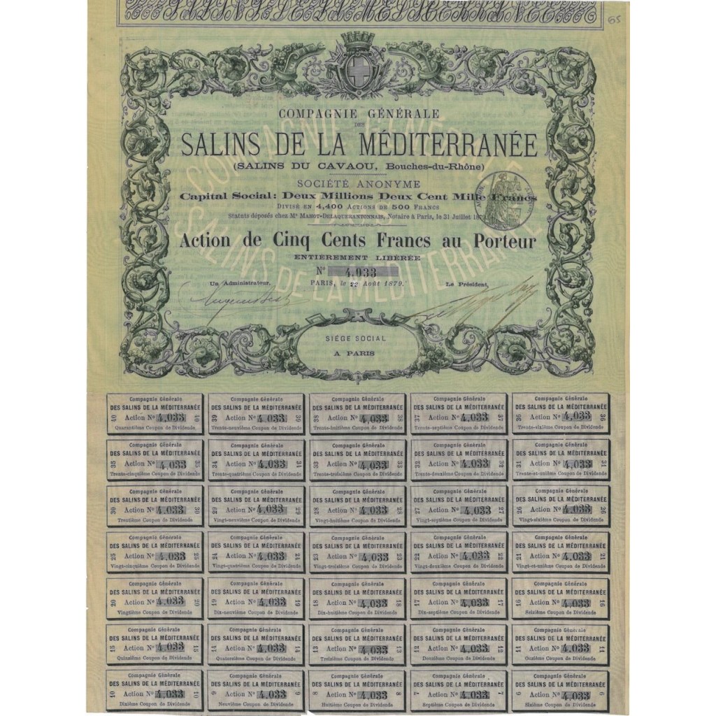 SALINS DE LA MEDITERRANEE - 1 AZIONE - 1879