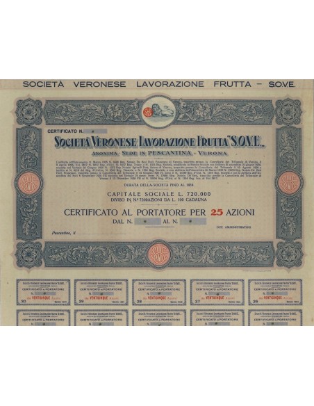 SOC. VERONESE LAVORAZIONE FRUTTA S.O.V.E. 25 AZIONI - 1926