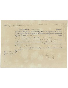 DIRETTORE GEN. REAL GIRO CONSOLE SPAGNOLO - NAPOLI 1828