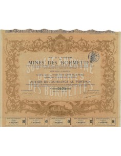 SOC. ANON. MINES DES BORMETTES - 1 AZIONE - 1896