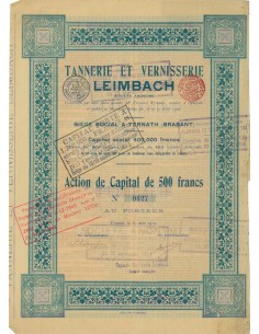 TANNERIE ET VERNISSERIE LEIMBACH - 1 AZIONE - 1919