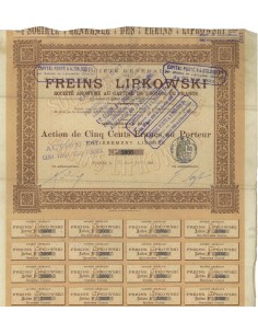 FREINS LIPKOWSKI - 1 AZIONE DA 500 FRANCHI - 1903