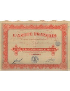 L'AZOTE FRANCAIS - DECIMA PARTE DI AZIONE - 1929