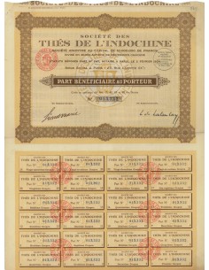 SOC. DES THES DE L'INDOCHINE - AZIONE - 1924