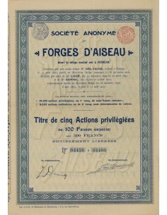 SOC. AN. DES FORGES D'AISEAU - 5 AZIONI PRIVILEGIATE - 1896