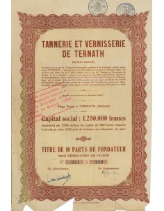 TANNERIE ET VERNISSERIE DE TERNATH - 10 AZIONI DI FONDAZIONE 1910